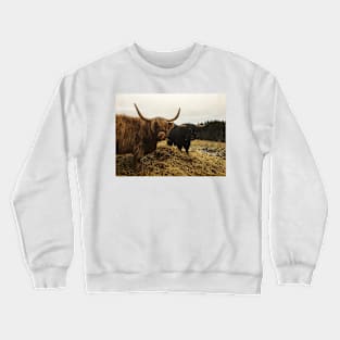 Scottish Highland Cattle Cow and Bull 2169 Crewneck Sweatshirt